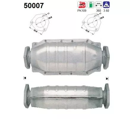 Katalysator  50007)