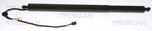 Gasveer, kofferbak/laadruimte TRISCAN 8710 43302)