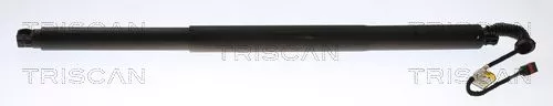 Gasveer, kofferbak/laadruimte TRISCAN 8710 29307)