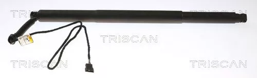 Gasveer, kofferbak/laadruimte TRISCAN 8710 11311)