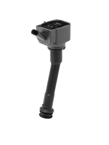 Bobine BorgWarner (BERU) ZSE260)