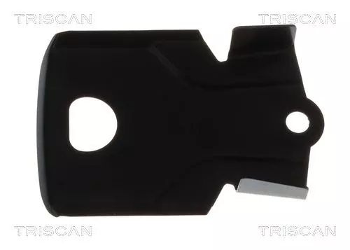 Spatbord, remschijf TRISCAN 8125 10103)