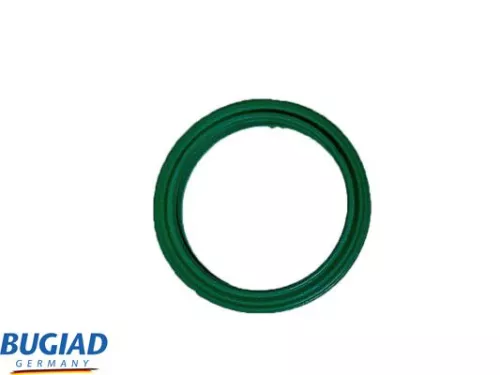 Laadluchtslang BUGIAD 82568)