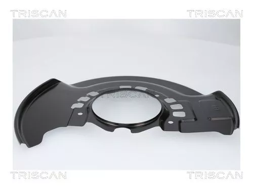 Spatbord, remschijf TRISCAN 8125 13136)