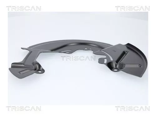 Spatbord, remschijf TRISCAN 8125 16110)