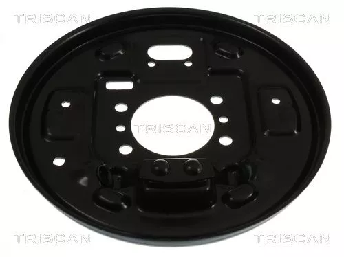 Spatbord, remschijf TRISCAN 8125 43213)