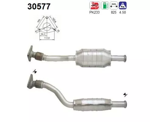 Katalysator AS 30577)