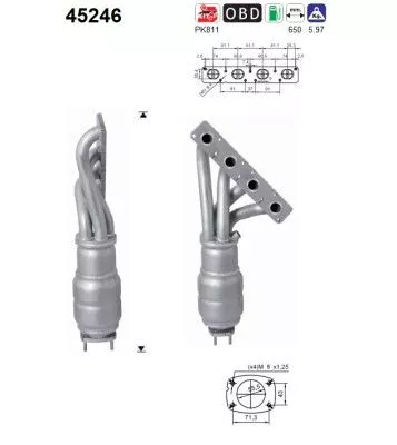 Katalysator AS 45246)
