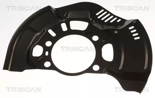 Spatbord, remschijf TRISCAN 8125 13125)