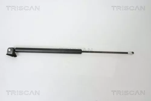 Gasveer, kofferbak/laadruimte TRISCAN 8710 50240)