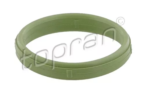 Pakking, inlaatspruitstuk TOPRAN 111 050)