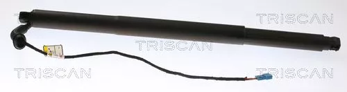 Gasveer, kofferbak/laadruimte TRISCAN 8710 11312)