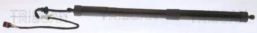 Gasveer, kofferbak/laadruimte TRISCAN 8710 29303)