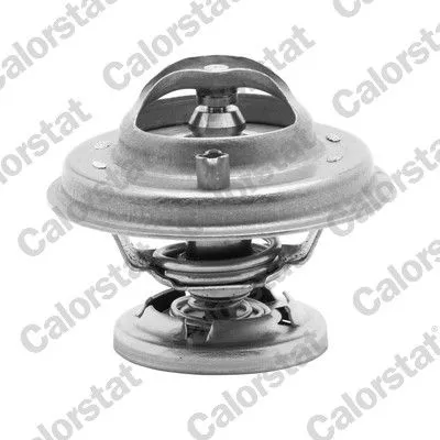 Thermostaat, koelvloeistof CALORSTAT by Vernet TH5699.75J)