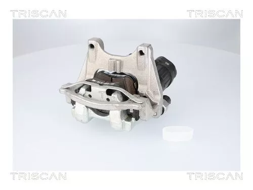 Remklauw TRISCAN 8175 82204)