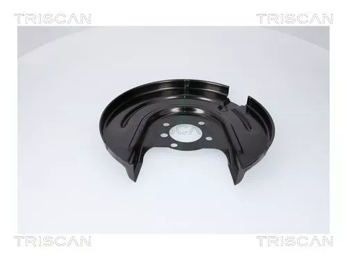 Spatbord, remschijf TRISCAN 8125 29286)