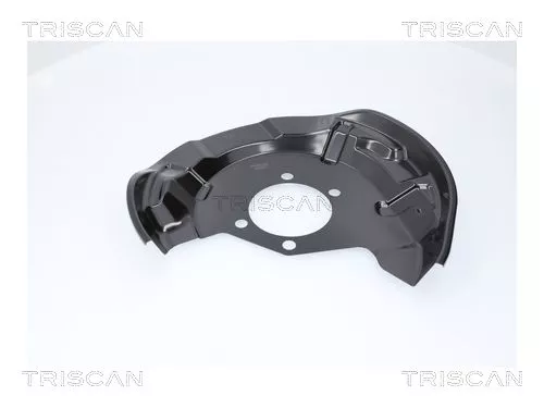 Spatbord, remschijf TRISCAN 8125 14216)