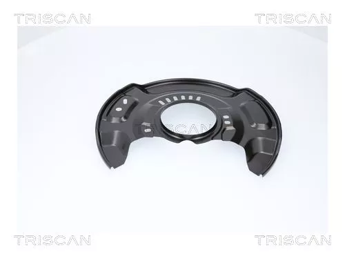 Spatbord, remschijf TRISCAN 8125 13134)