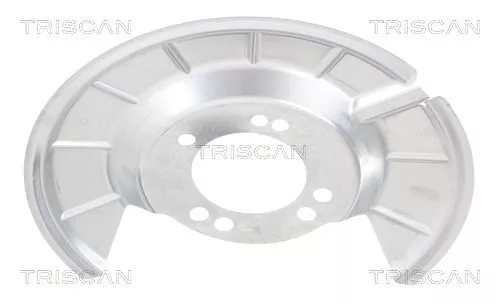 Spatbord, remschijf TRISCAN 8125 16222)