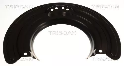 Spatbord, remschijf TRISCAN 8125 15111)