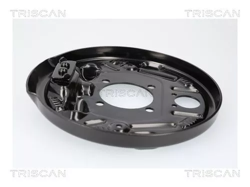 Spatbord, remschijf TRISCAN 8125 23232)