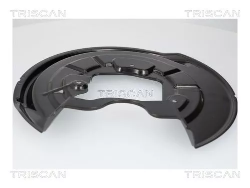 Spatbord, remschijf TRISCAN 8125 29289)