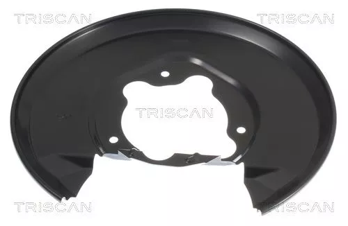 Spatbord, remschijf TRISCAN 8125 40205)