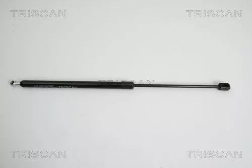 Gasveer, kofferbak/laadruimte TRISCAN 8710 29278)