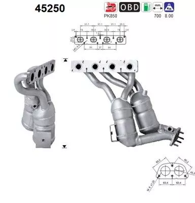 Katalysator AS 45250)