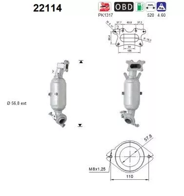 Katalysator AS 22114)