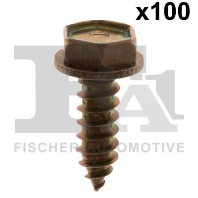 Schroef FA1 10-70009.100)