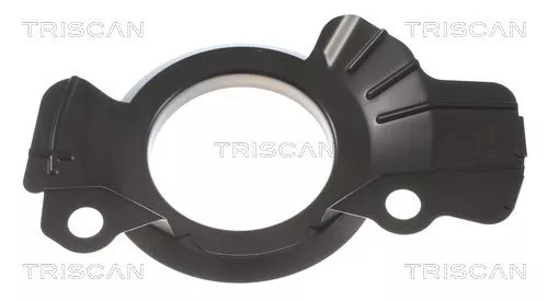 Spatbord, remschijf TRISCAN 8125 43112)