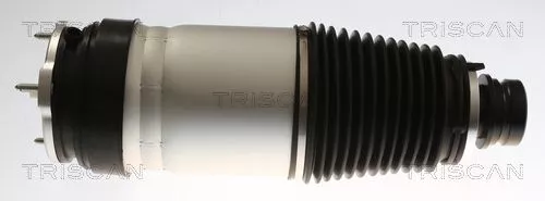 Luchtvering, ophanging TRISCAN 8720 81101)