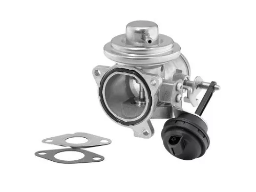 EGR-klep BorgWarner 7293D)