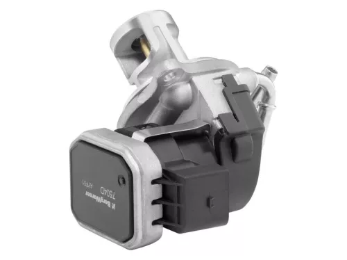 EGR-klep BorgWarner 7504D)