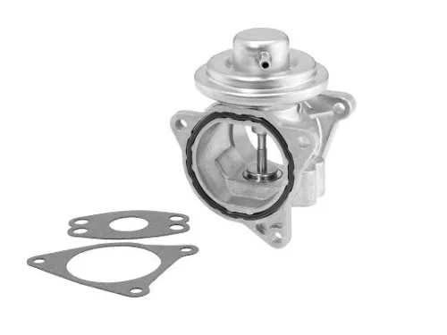 EGR-klep BorgWarner 7496D)