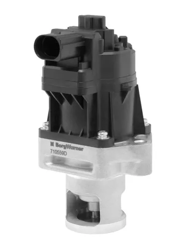 EGR-klep BorgWarner 710559D)