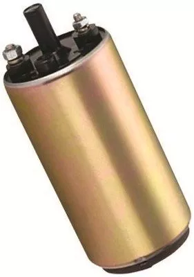 Fuel Pump MAGNETI MARELLI 313011300070)