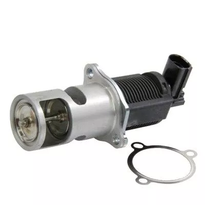 EGR-klep MAGNETI MARELLI 571822112009)