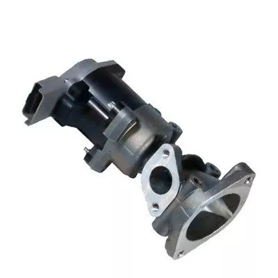 EGR-klep MAGNETI MARELLI 571822112034)
