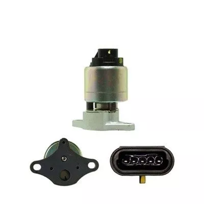 EGR-klep MAGNETI MARELLI 571822112052)