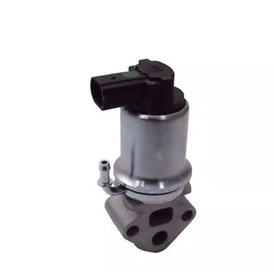 EGR-klep MAGNETI MARELLI 571822112014)