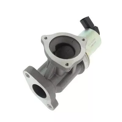 EGR-KLEP MAGNETI MARELLI 571822112012)