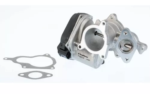 EGR-klep BorgWarner 710931D)