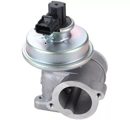 EGR-klep MAGNETI MARELLI 571822112109)