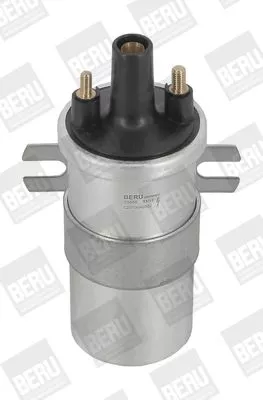 Bobine BorgWarner (BERU) ZS566)