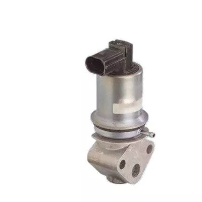 EGR-klep MAGNETI MARELLI 571822112011)