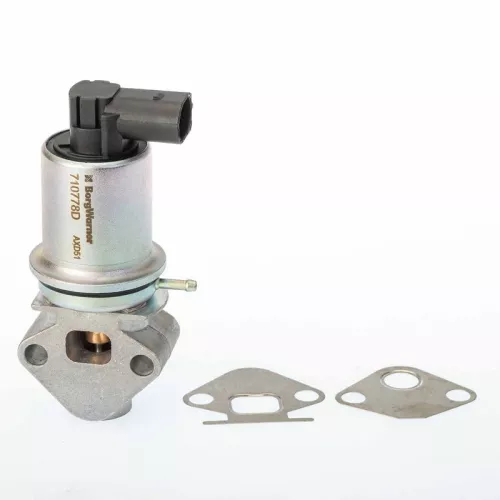 EGR-klep BorgWarner 710778D)