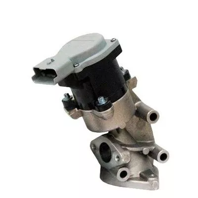 EGR-KLEP MAGNETI MARELLI 571822112032)