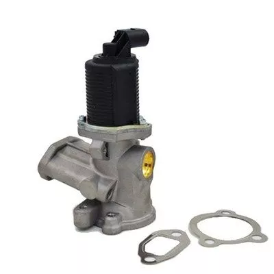 EGR-klep MAGNETI MARELLI 571822112003)